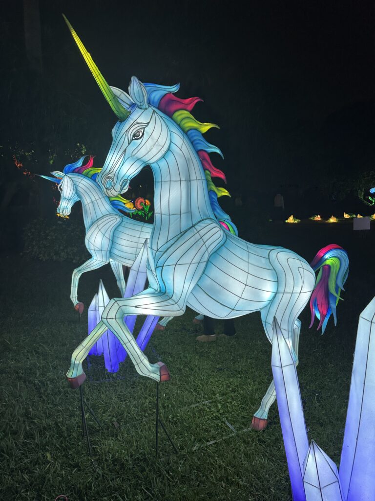 Lanterns brighten the holidays at Mounts Garden