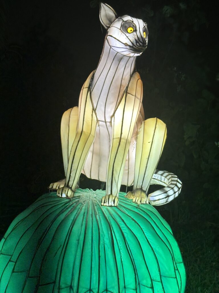 Lanterns brighten the holidays at Mounts Garden