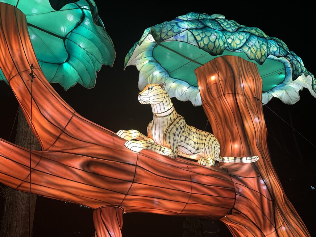 Lanterns brighten the holidays at Mounts Garden