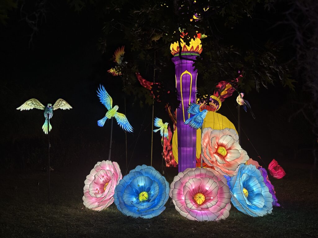 Lanterns brighten the holidays at Mounts Garden