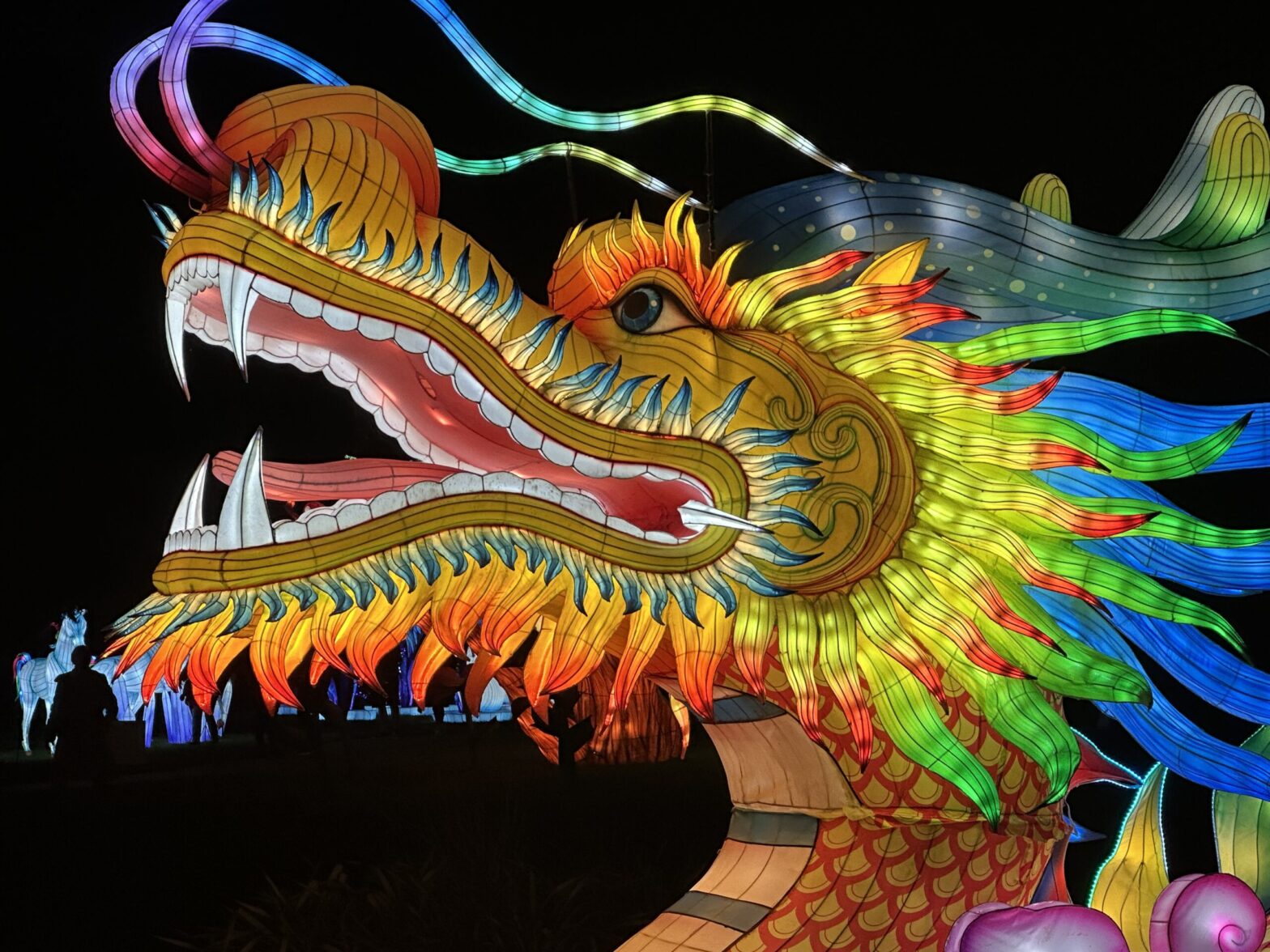 Lanterns brighten the holidays at Mounts Garden