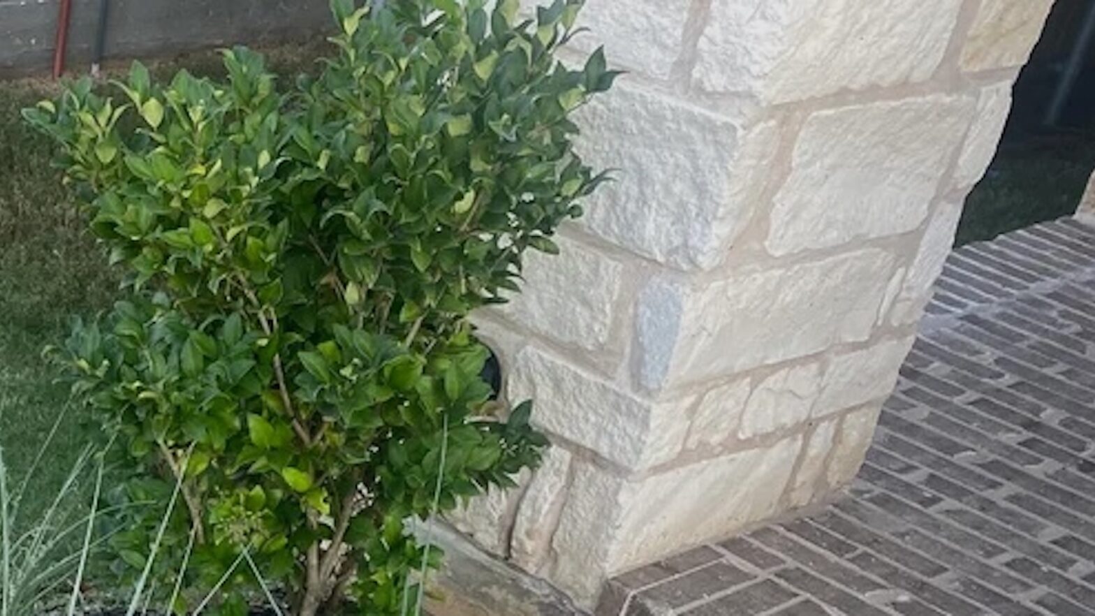 “What exactly do I need?”