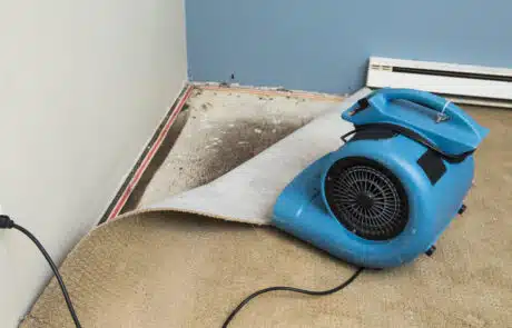 ARC Restoration Water Damage Restoration