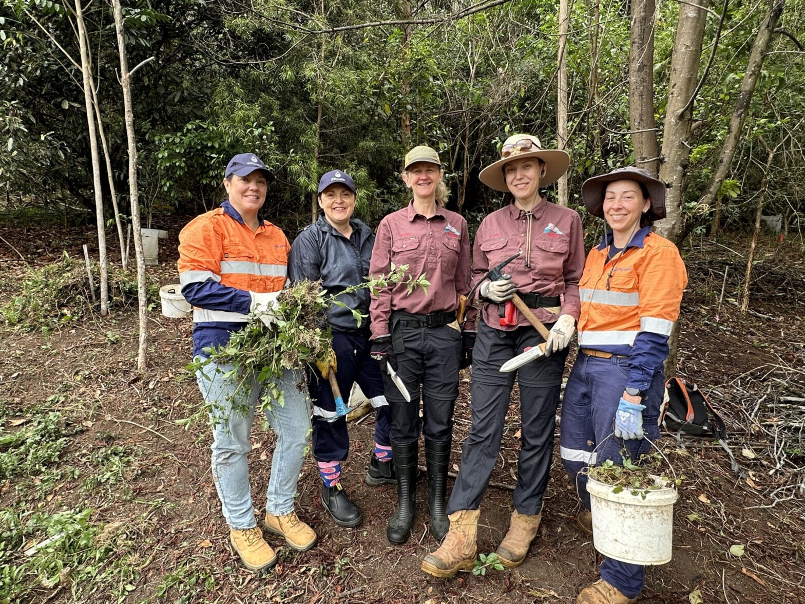 Backcountry Bush Restoration in Reesville with Roving Restorers