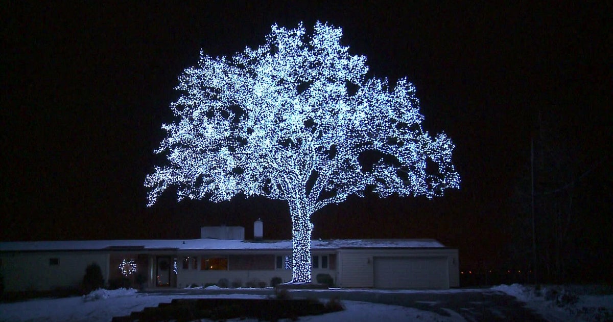 Bloomington's glowing tree display returns this holiday season after 10 years
