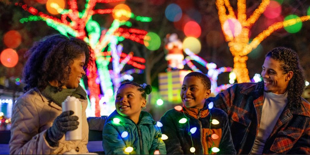 Holiday Lights Guide 2025: 13 Places to See Twinkling Light Displays in the Pittsburgh Area