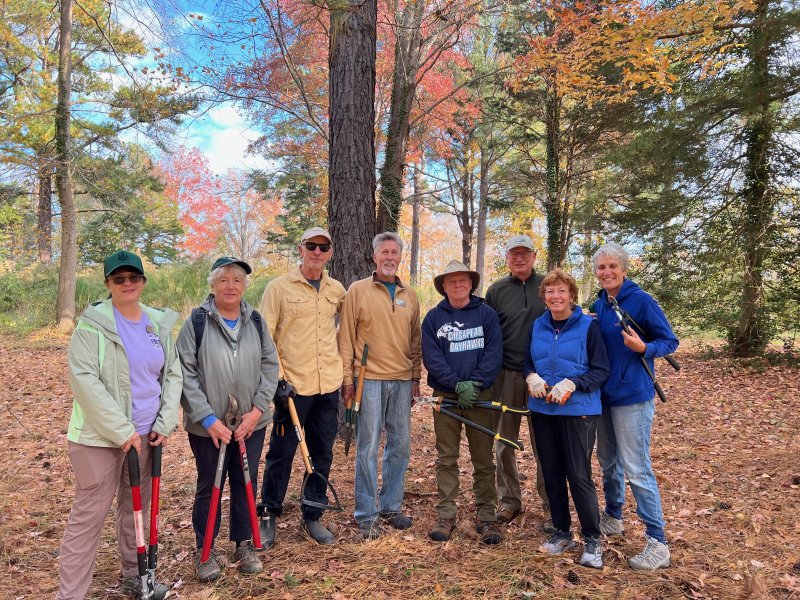 Invasive plant removal begins at Fourth Street Preserve in Lewes