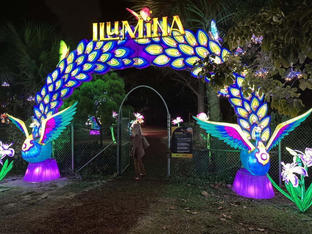 Lanterns brighten the holidays at Mounts Garden