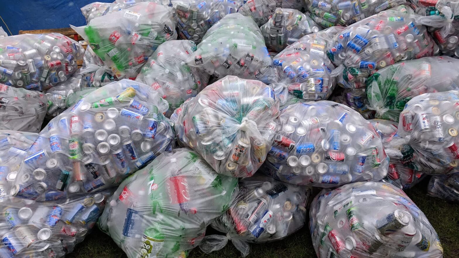 Man who bought a two-bedroom home by recycling almost half a million cans reveals where he found the biggest haul