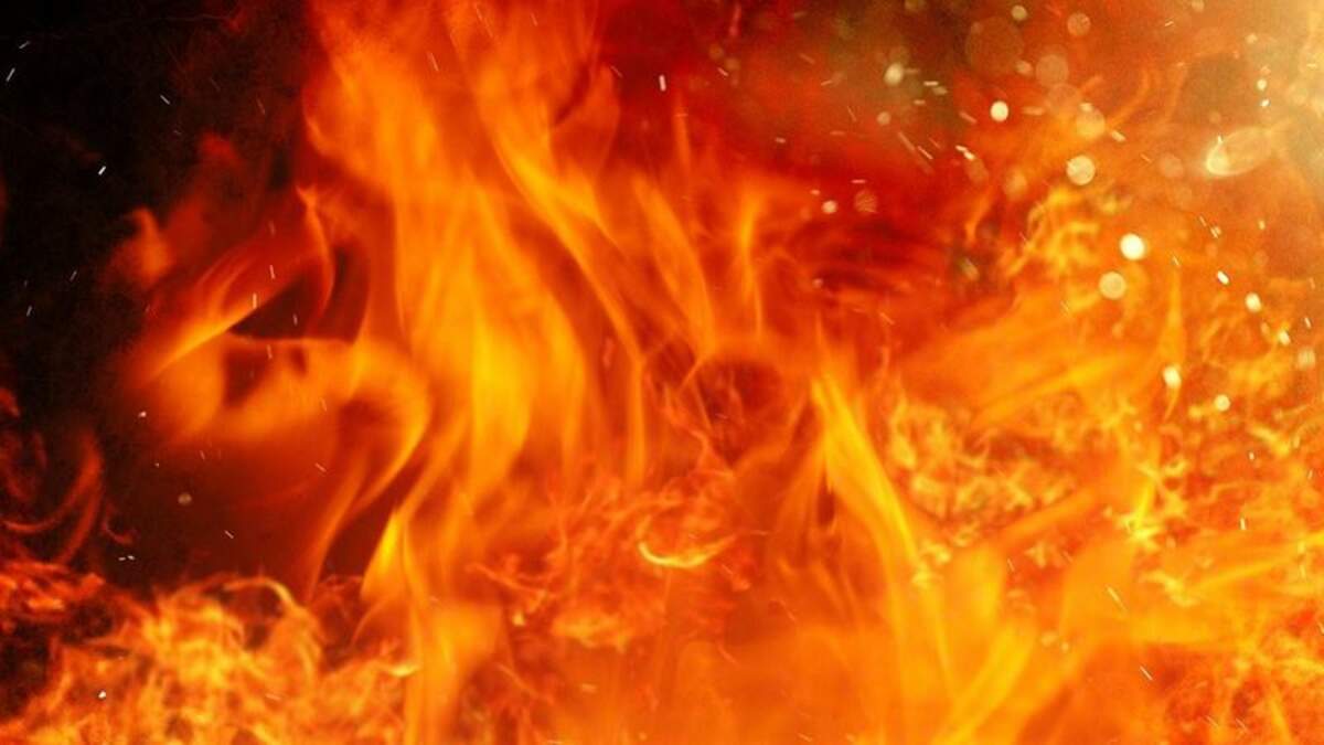 One pet died, three were rescued in a house fire in Edgerton