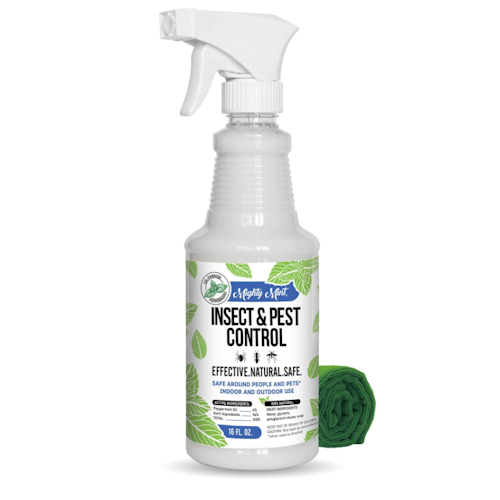 Peppermint spray from Amazon