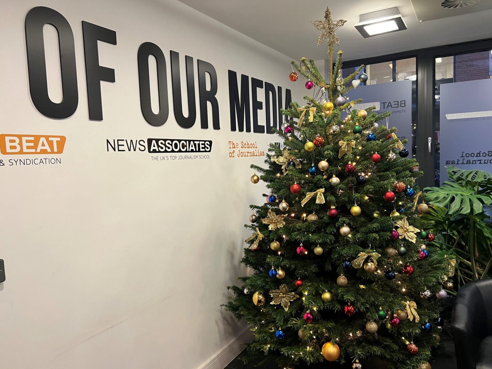 Longing for a sustainable Christmas